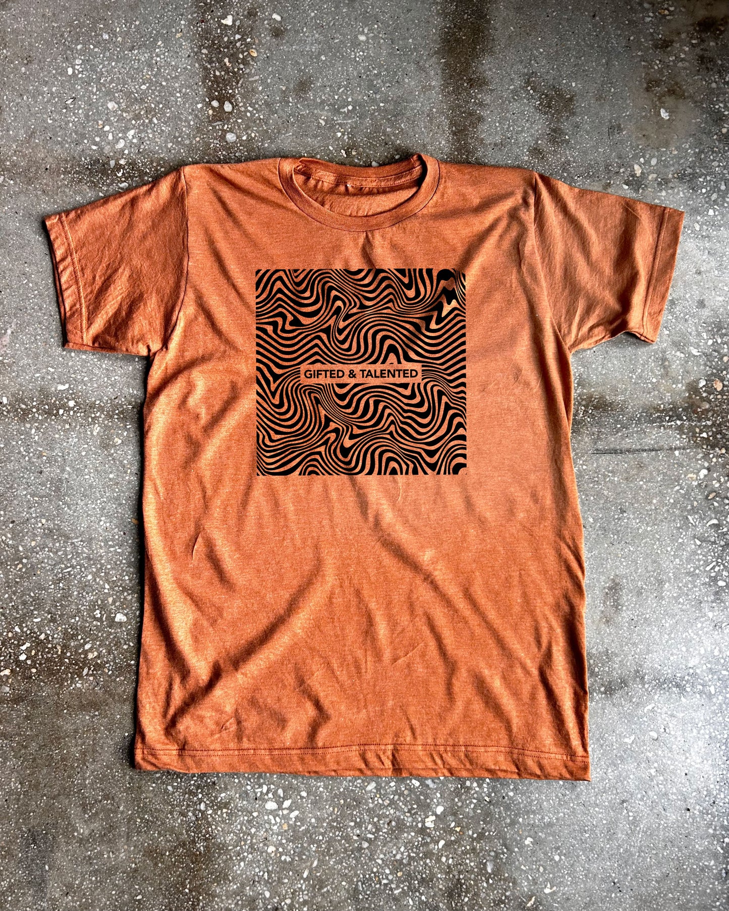 Gifted & Talented Adult Box T-Shirt