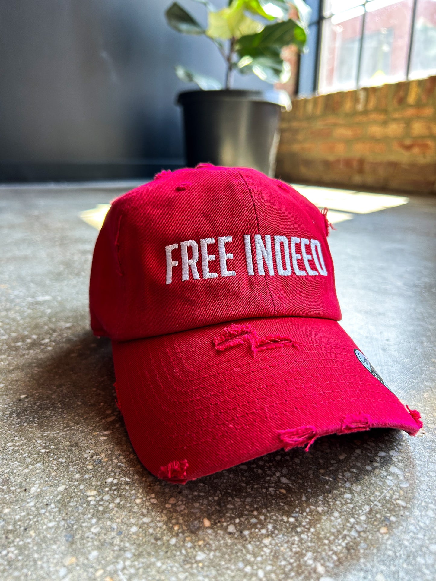 FREE INDEED Kid's Hat (Distressed)