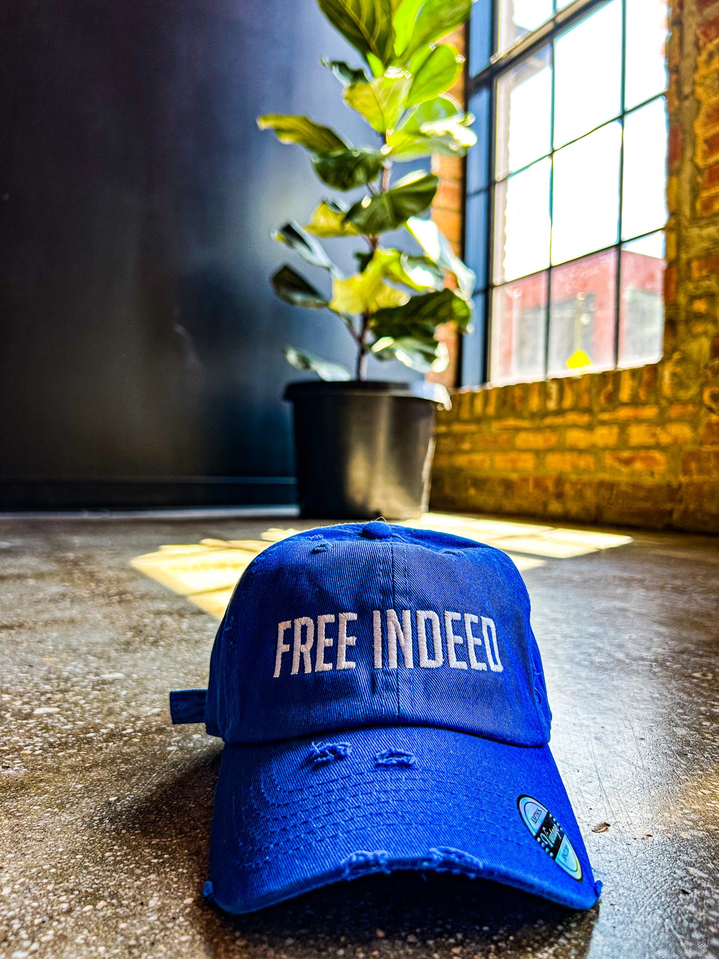 FREE INDEED Hat (Distressed)