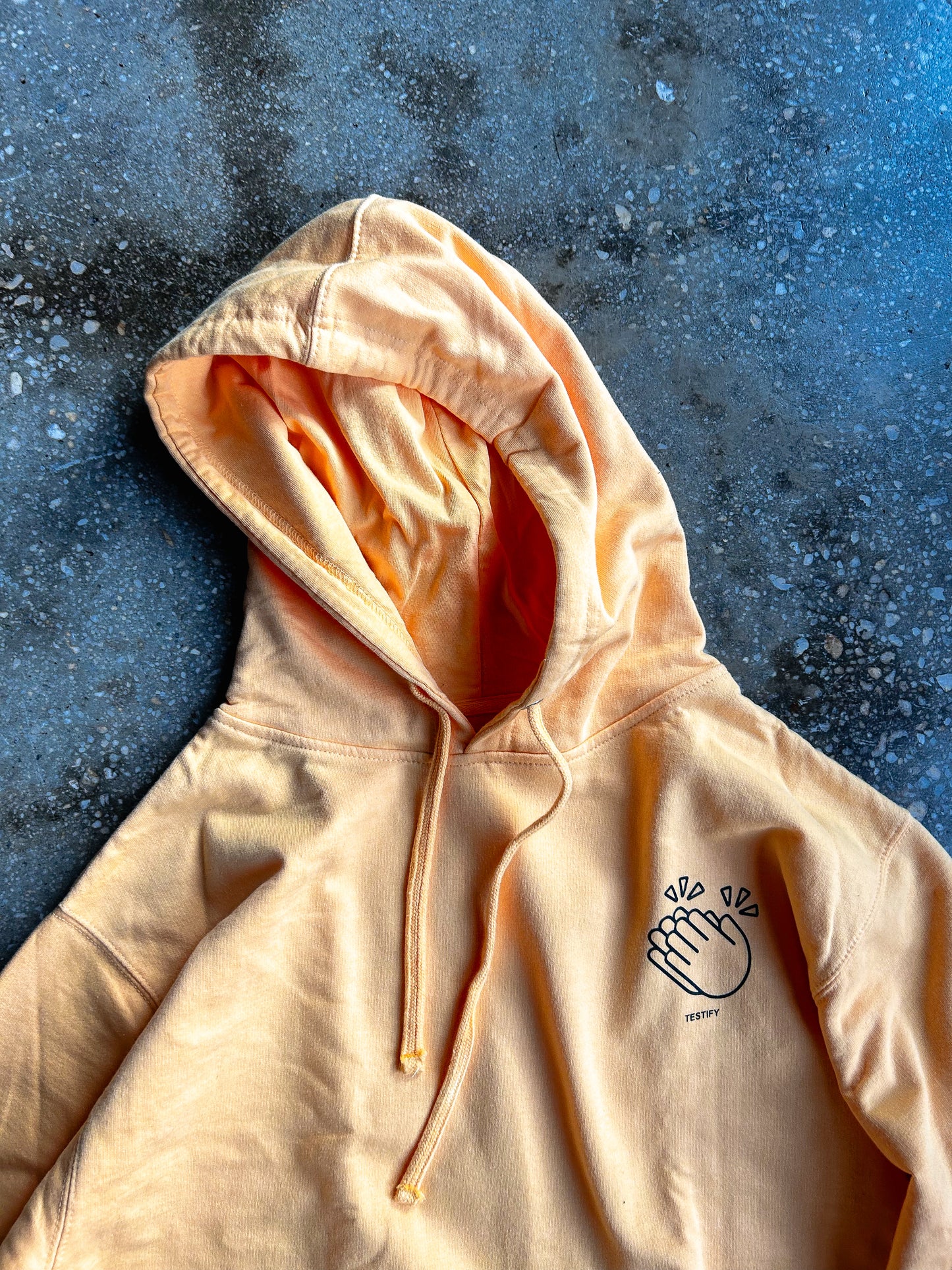 God Has Done Great Things Adult Box Hoodie