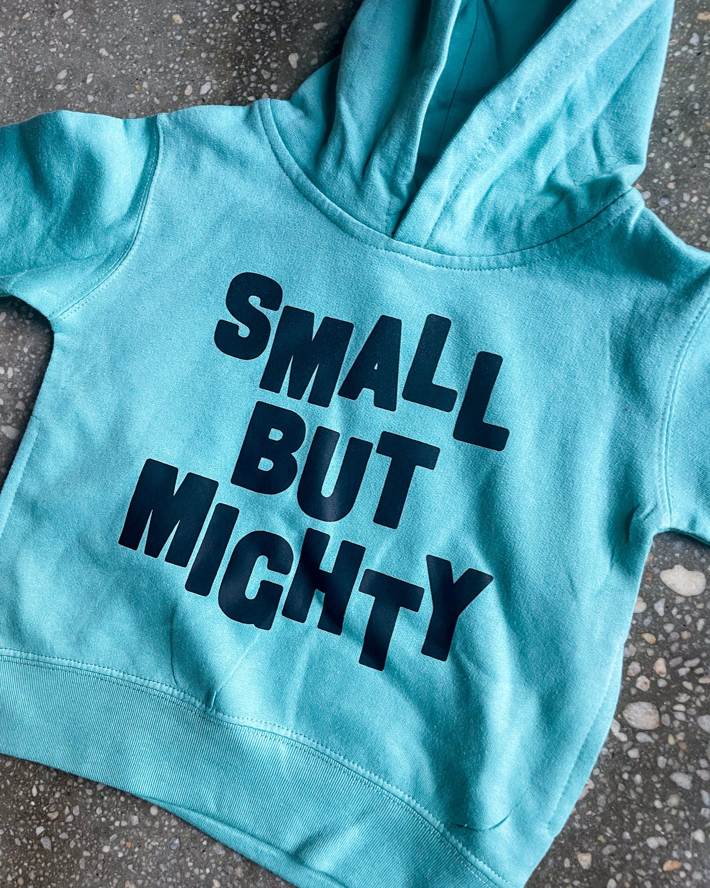 Small But Mighty Kids Hoodie