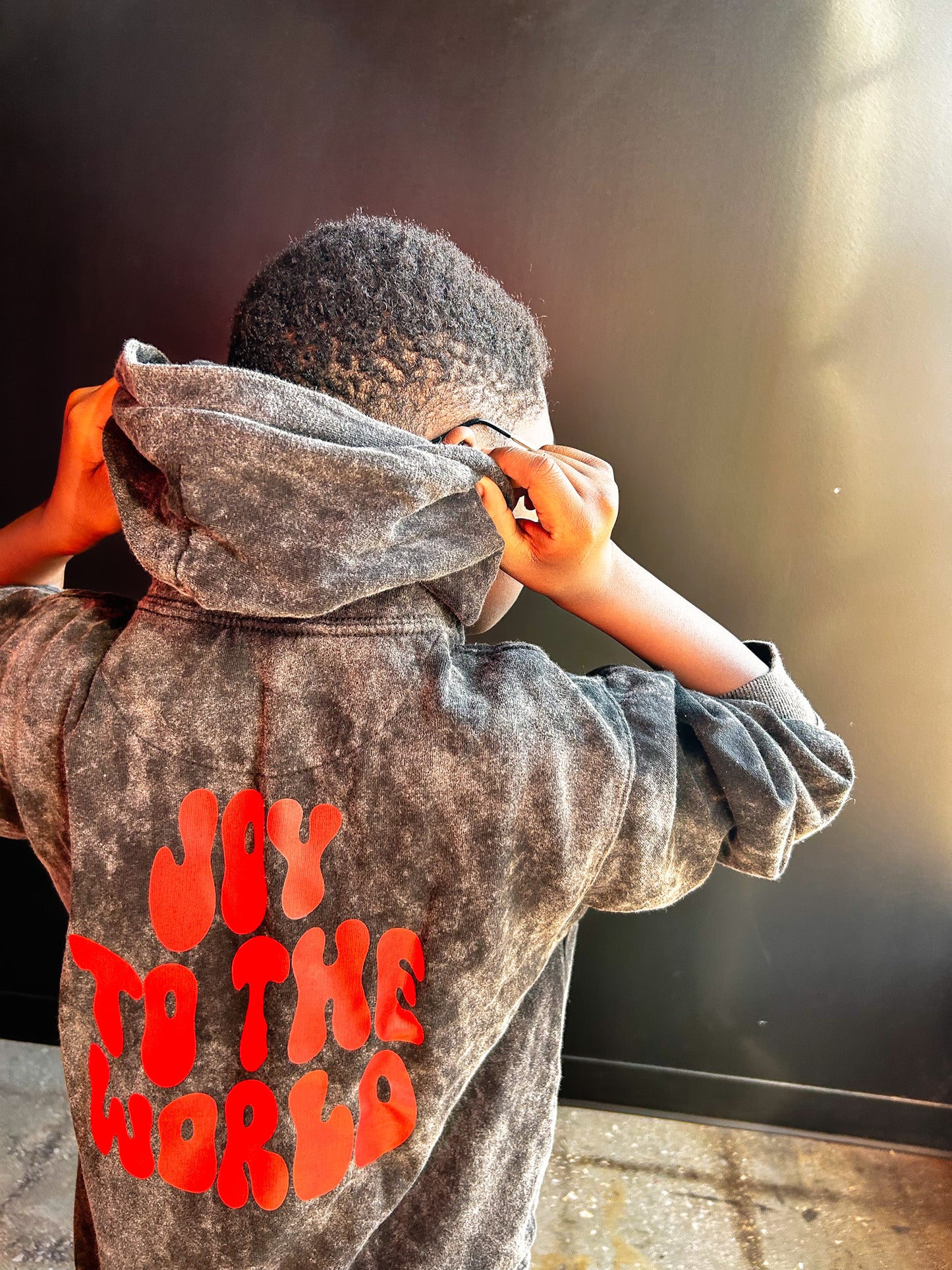 Joy to the World Kids Hoodie