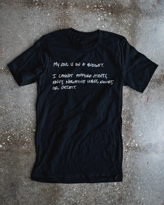 Budget Minded Adult Box T-Shirt