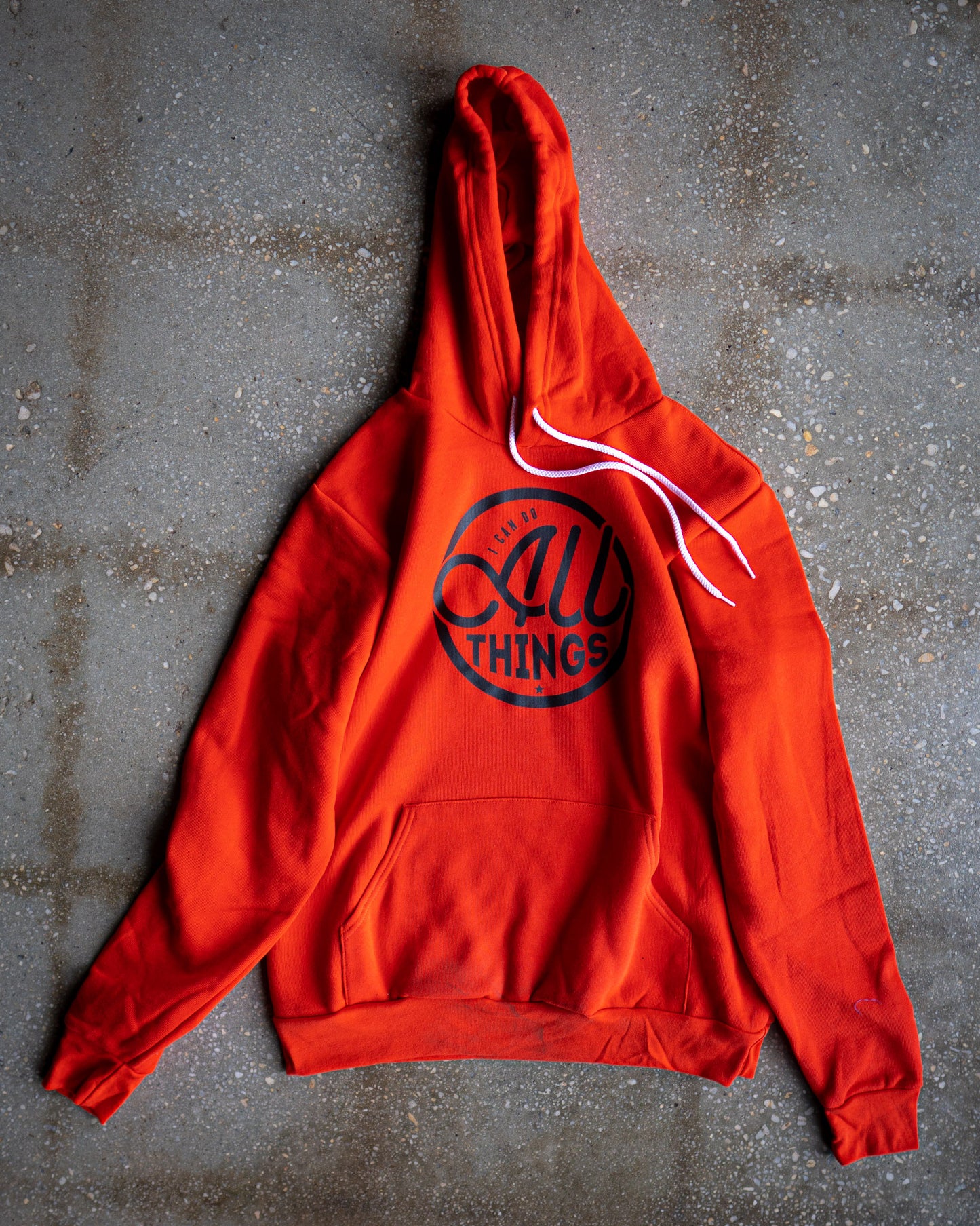 I Can Do All Things Adult Sponge Fleece Hoodie