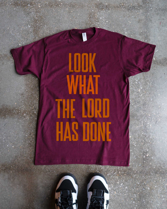 Look What The Lord Has Done Adult Box T-Shirt