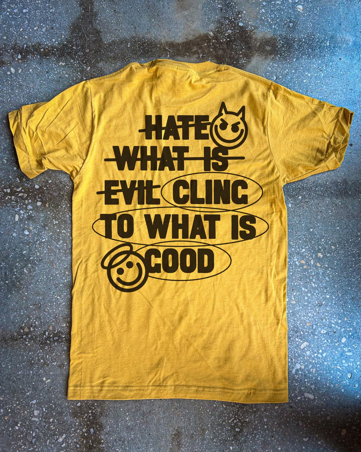 Hate Evil, Cling to Good Adult Box T-Shirt