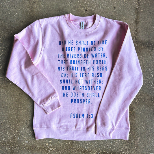 Psalm 1:3 Adult Drop Shoulder Sweatshirt