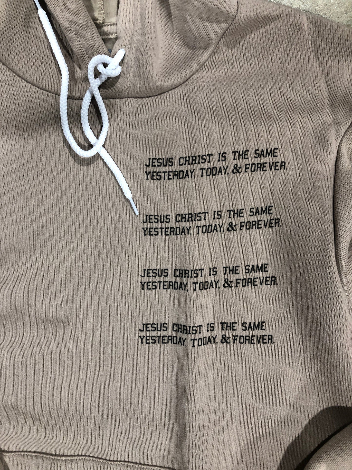 (CLEARANCE) Jesus Never Changes Adult Hoodie