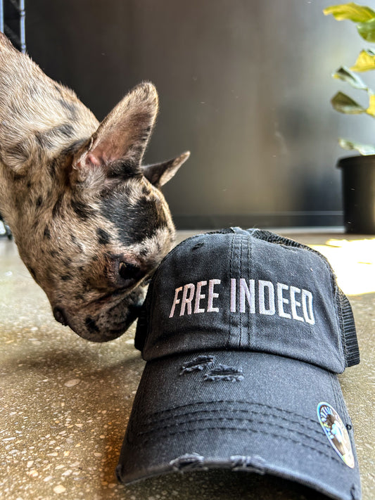 FREE INDEED Distressed Hat (Mesh-Back Ponytail)