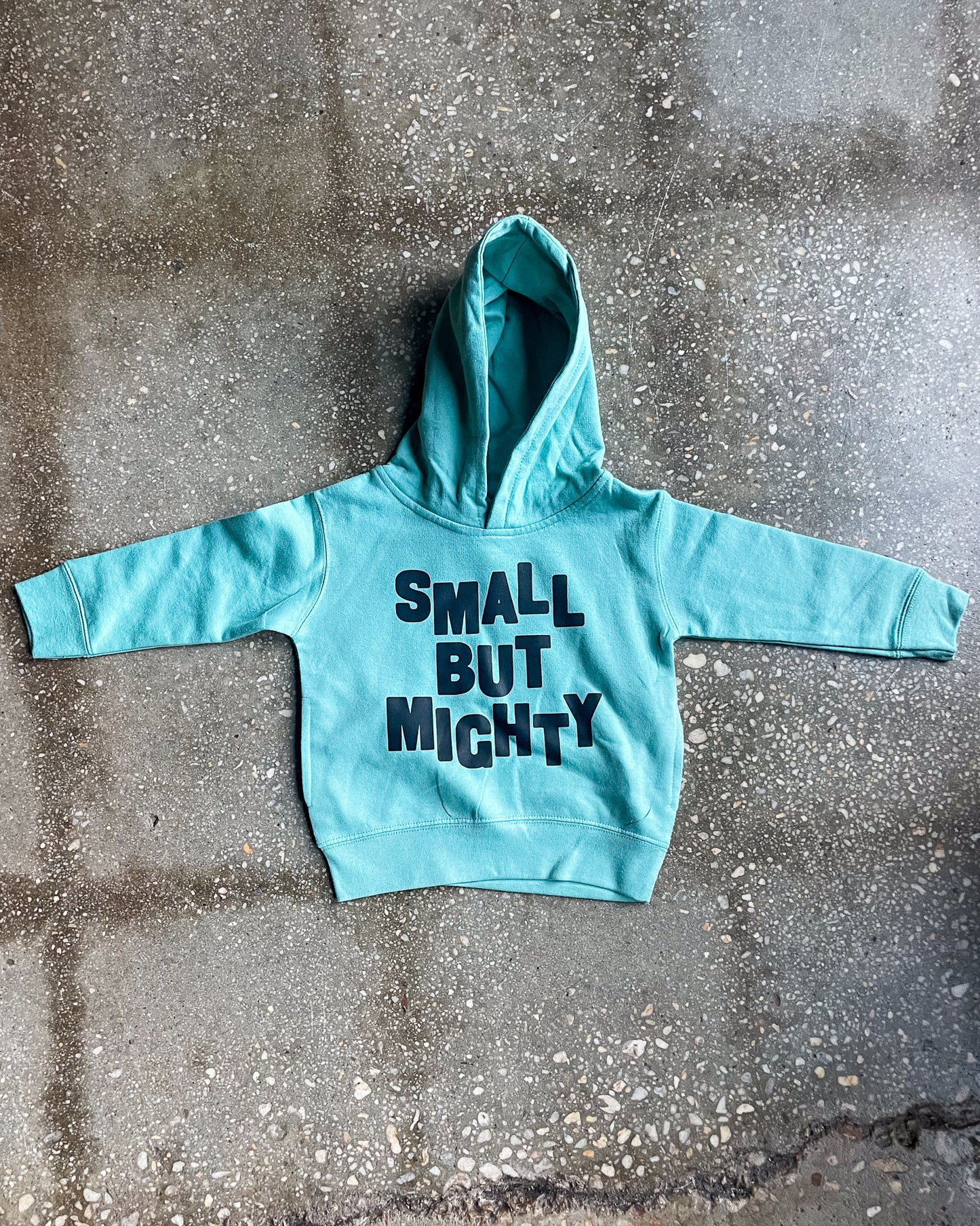 Small But Mighty Kids Hoodie