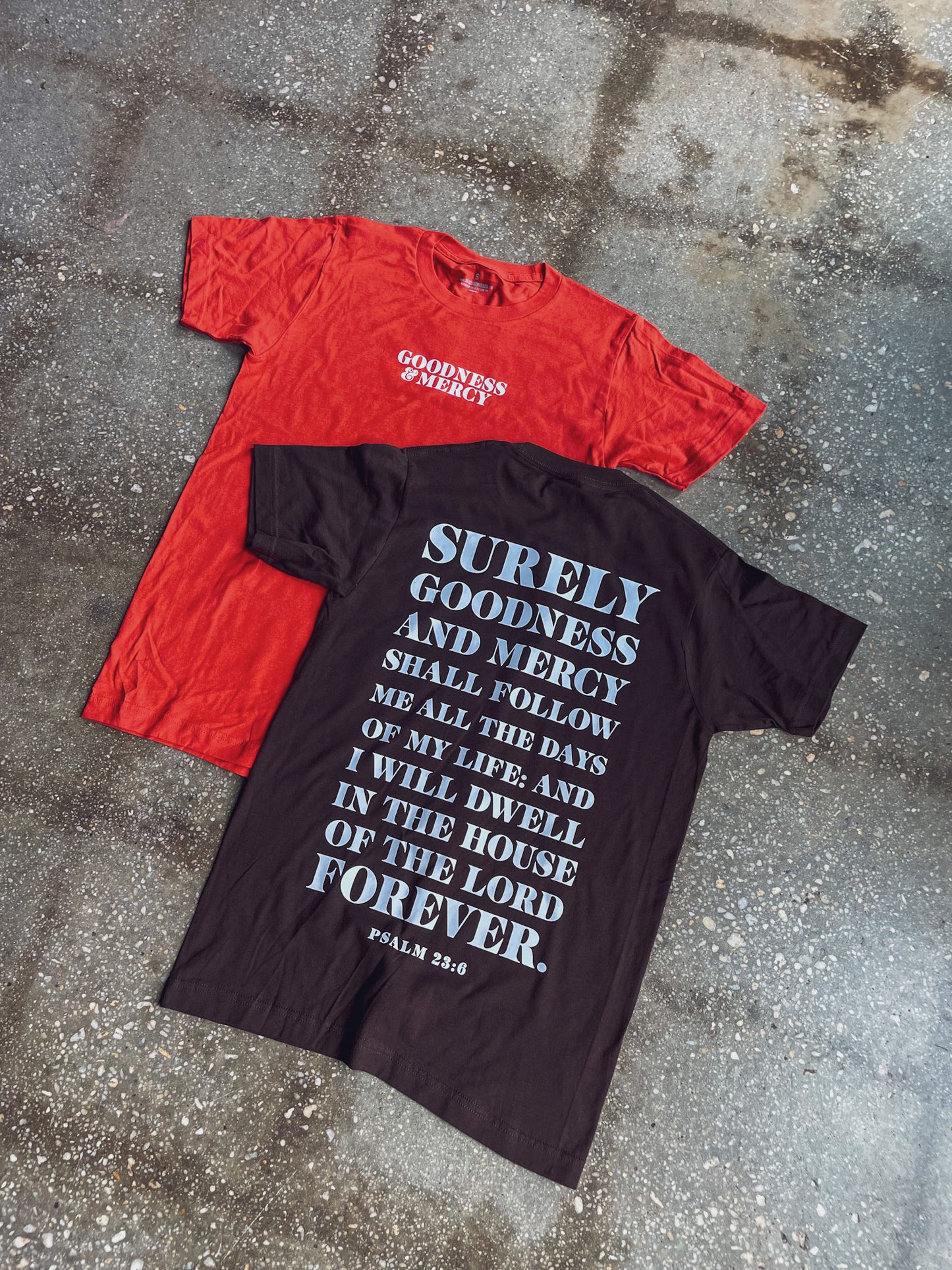 Goodness & Mercy Adult Box T-Shirt