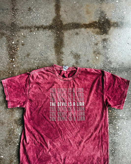 The Devil Is A Liar (Mineral Wash) Adult Box T-Shirt