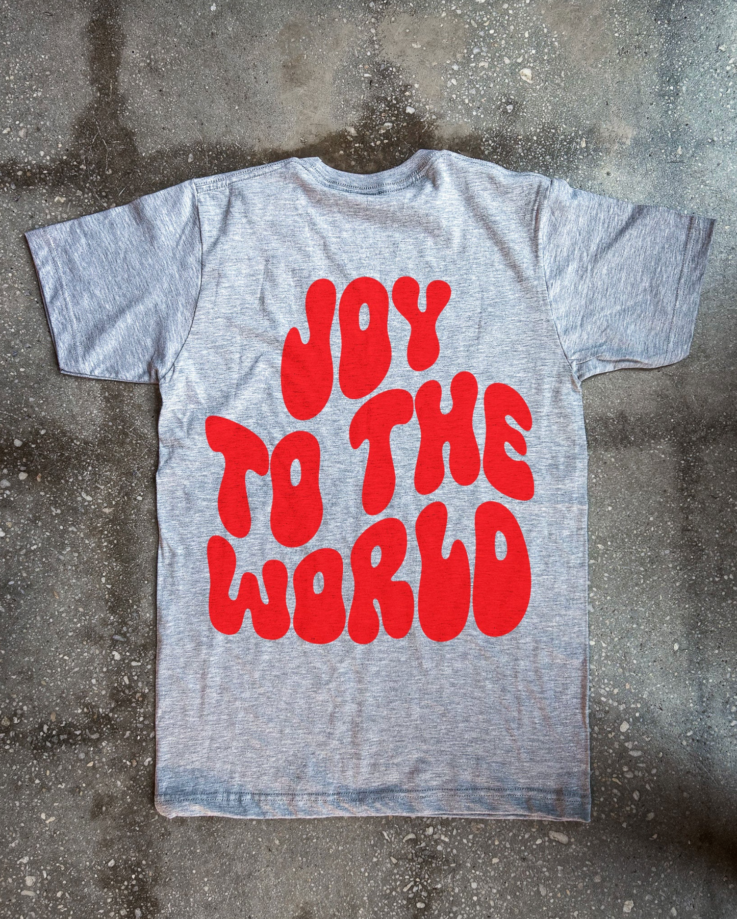 (CLEARANCE) Joy to the World Adult T Shirt