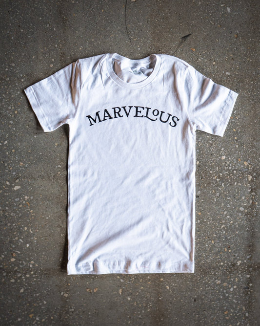 (CLEARANCE) Marvelous Adult T Shirt