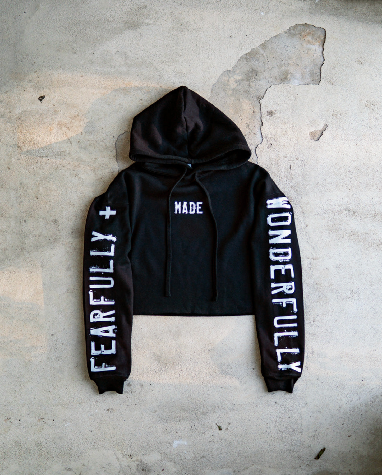 (CLEARANCE) Fearfully, Wonderfully, Made Adult Hoodie