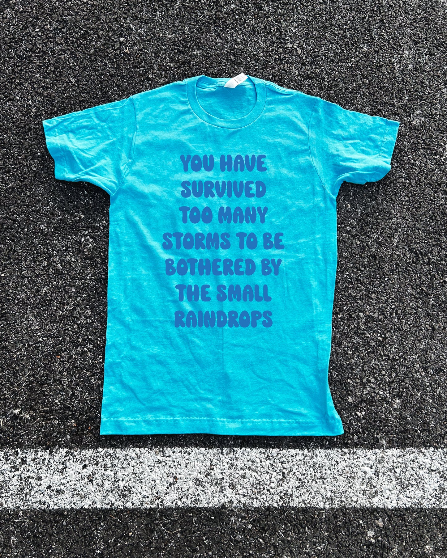 Survived the Storms Adult Box T-Shirt