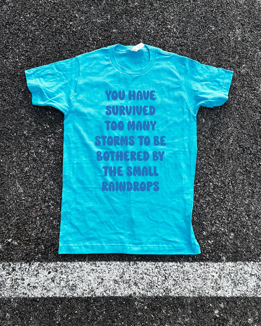 Survived the Storms Adult Box T-Shirt