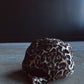 Blessed Leopard Hat (Non-Distressed)