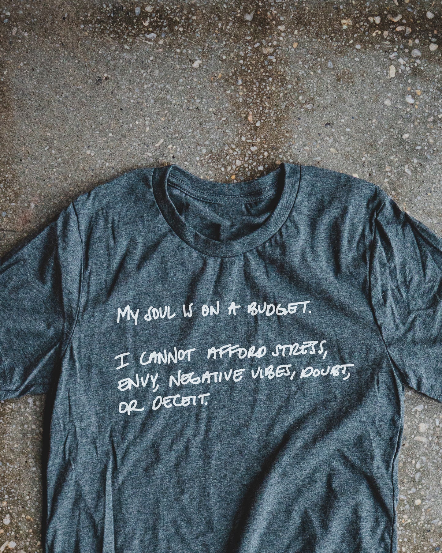 Budget Minded Adult Box T-Shirt