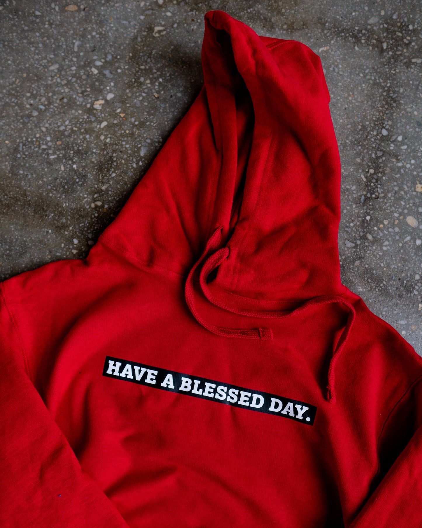 Have A Blessed Day Adult Box Hoodie