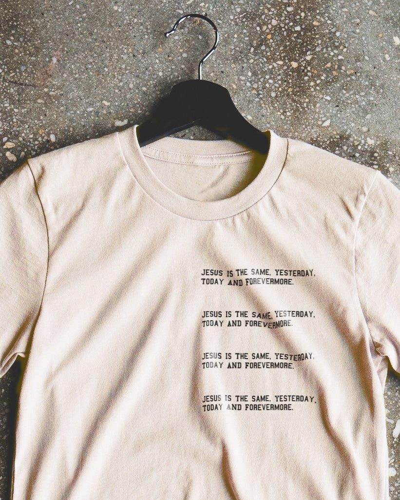 Jesus Never Changes Adult T-Shirt