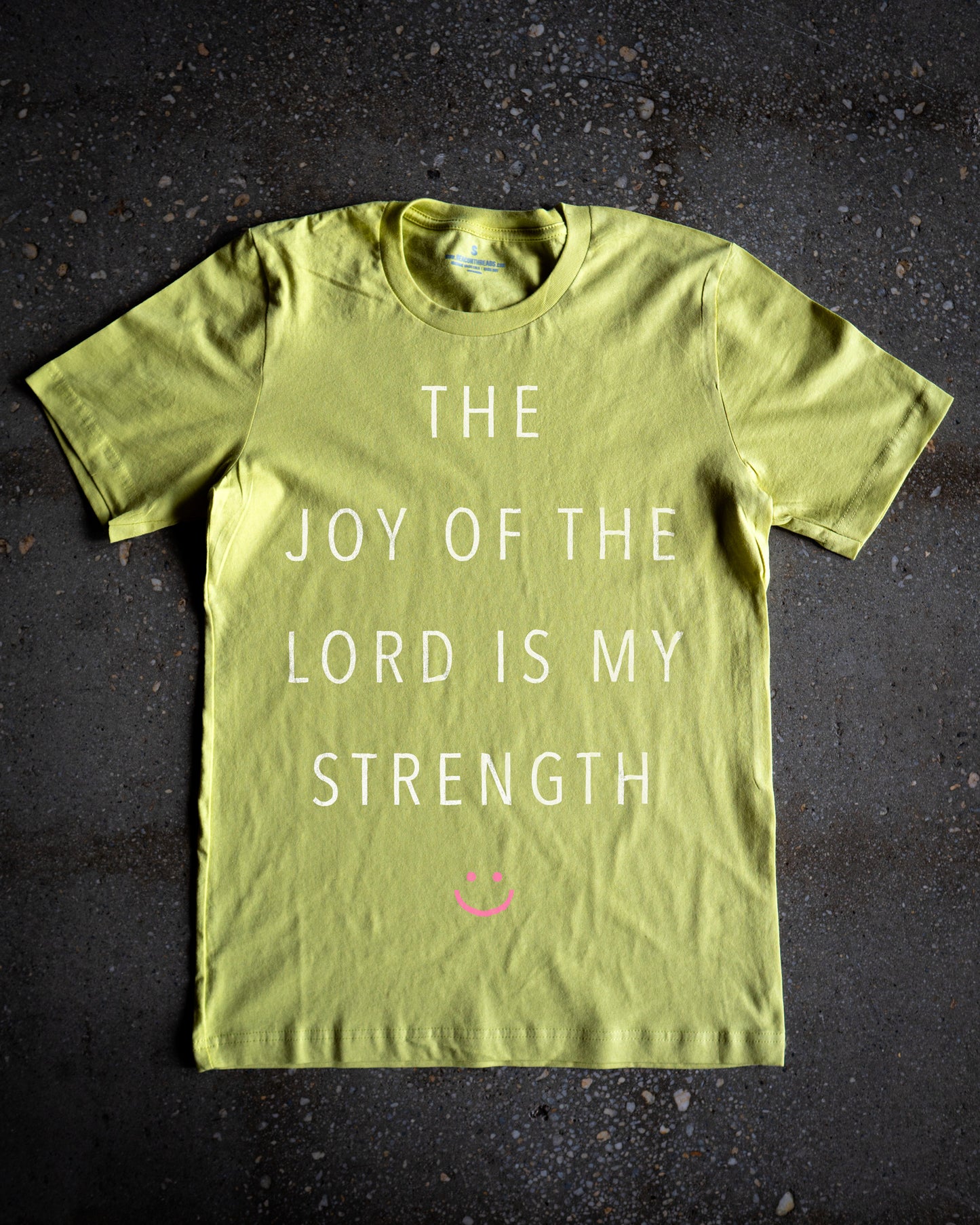 The Lord is My Strength Adult T-Shirt